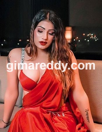 Ludhiana Call Girl